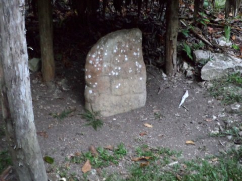 SAMSUNG CAMERA PICTURES